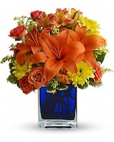 Standard size, 13 inches height and 11 and a half inches wide.