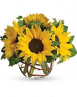 Standard size, 10 inches height and 12 inches wide.