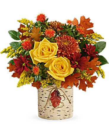 Teleflora's Golden Birch Bouquet