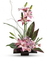 Deluxe size, 27 inches height and 20 inches wide.