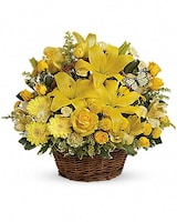 Premium size, 12 and a half inches height and 13 inches wide.
