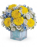 Premium size, 10 1/4 inches height and 10 inches wide.