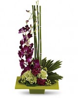Deluxe size, 25 inches height and 13 inches wide.