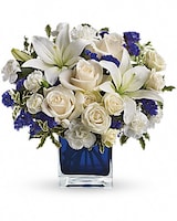Standard size, 11 and a half inches height and 12 inches wide.