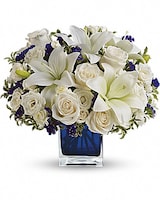 Premium size, 13 and a half inches height and 13 inches wide.