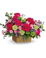 Premium size, 13 and a half inches height and 21 inches wide.