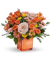 Standard size, 12 inches height and 13 1/4 inches wide.